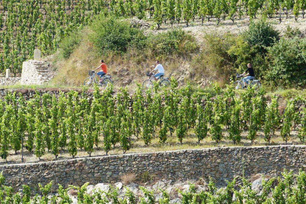Gite Abricotier Crozes-Hermitage Zewnętrze zdjęcie
